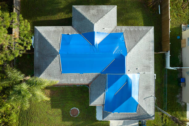 Best Steel Roofing  in Indian Hills, NM